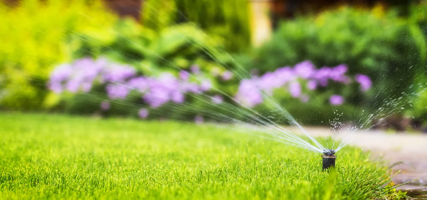 Pop-up spray sprinkler watering a lawn beside a flowering garden bed